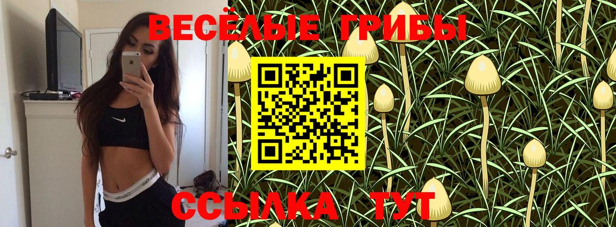 Елизово  Галлюциногенные грибы Psilocybe  Вход с VPN  купить наркотики сайты  Галлюциногенные грибы MAGIC MUSHROOMS 